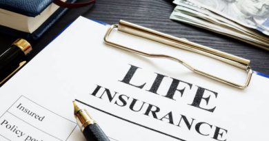 Ideal Life Insurance Policies and Plans to Secure Your Future